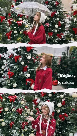 Christmas Aestetic