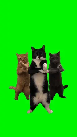 FUNNY CATS DANCING