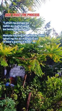 Just Trust the Proce