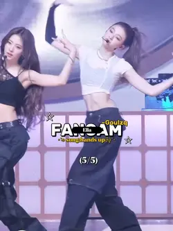 FANCAM