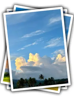 8Pic Aesthetic Frame