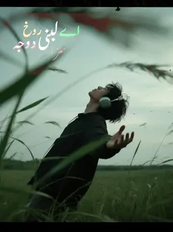 wafa phirda ni labni