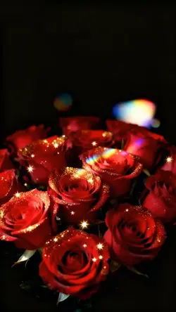 Xz phone 1️⃣7️⃣