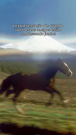 trnd sensação cavalo