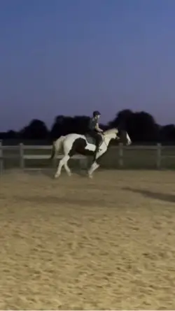 Showing this weekend
