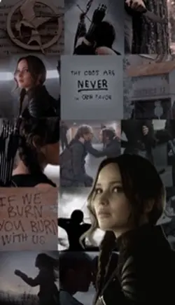 Hunger games wallpap