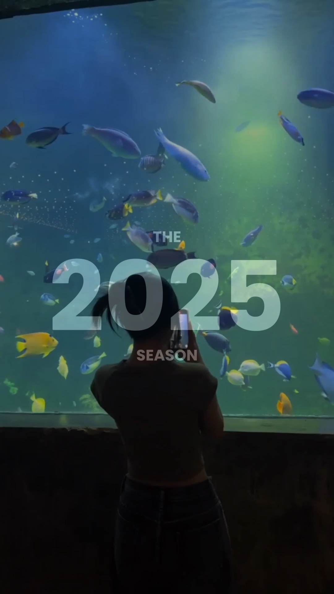 2025 özet 70 klip
