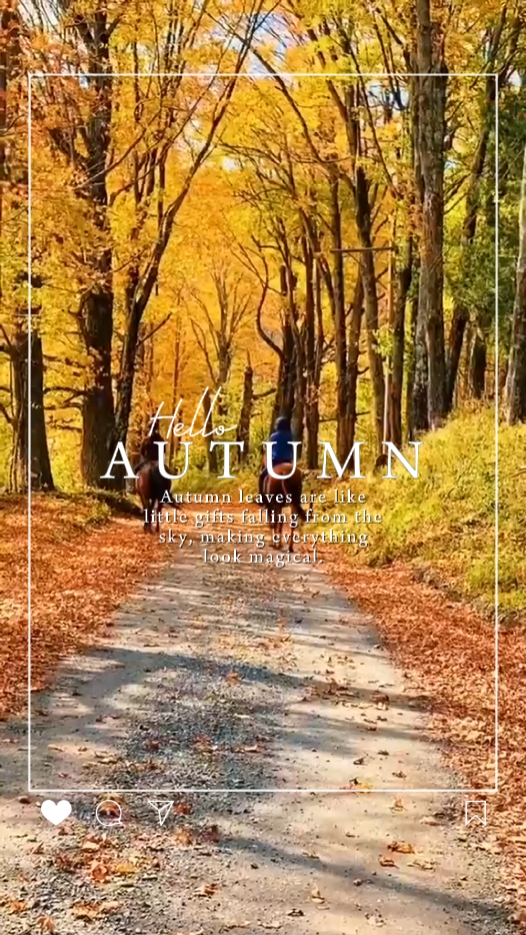 Coming Soon Autumn