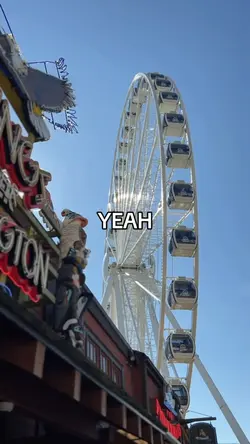 180 video