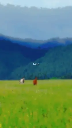 140p to 4K