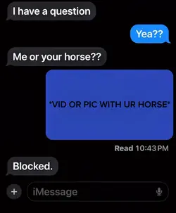 me or ur horse