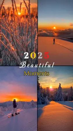 Beautiful Moments