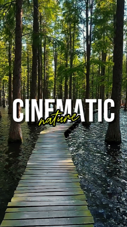 NATUREZA CINEMÁTICA