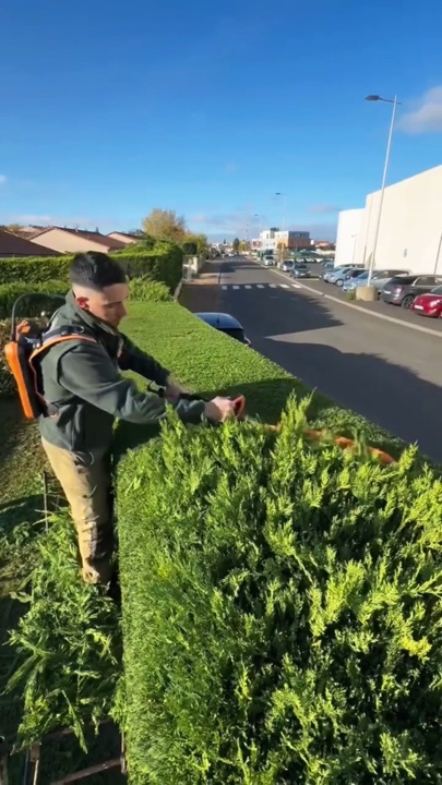 Gardening