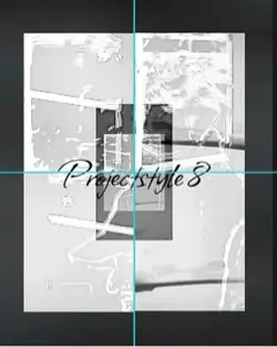 Projectstyle 8