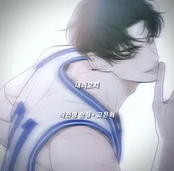 네웹