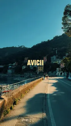 avicii said