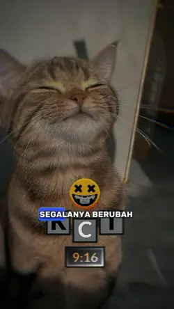 kau mengambil hatiku