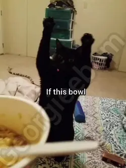 this bowl