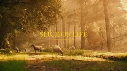 Slice of life