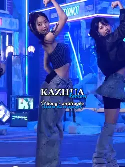 FANCAM