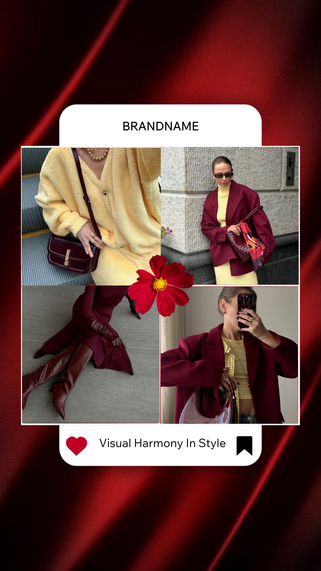 Fashion Visual Color