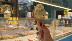 Mini vlog