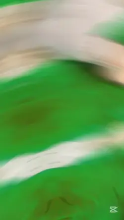 independence 2k25 Pa