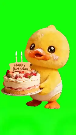 Happy Birthday Duck 