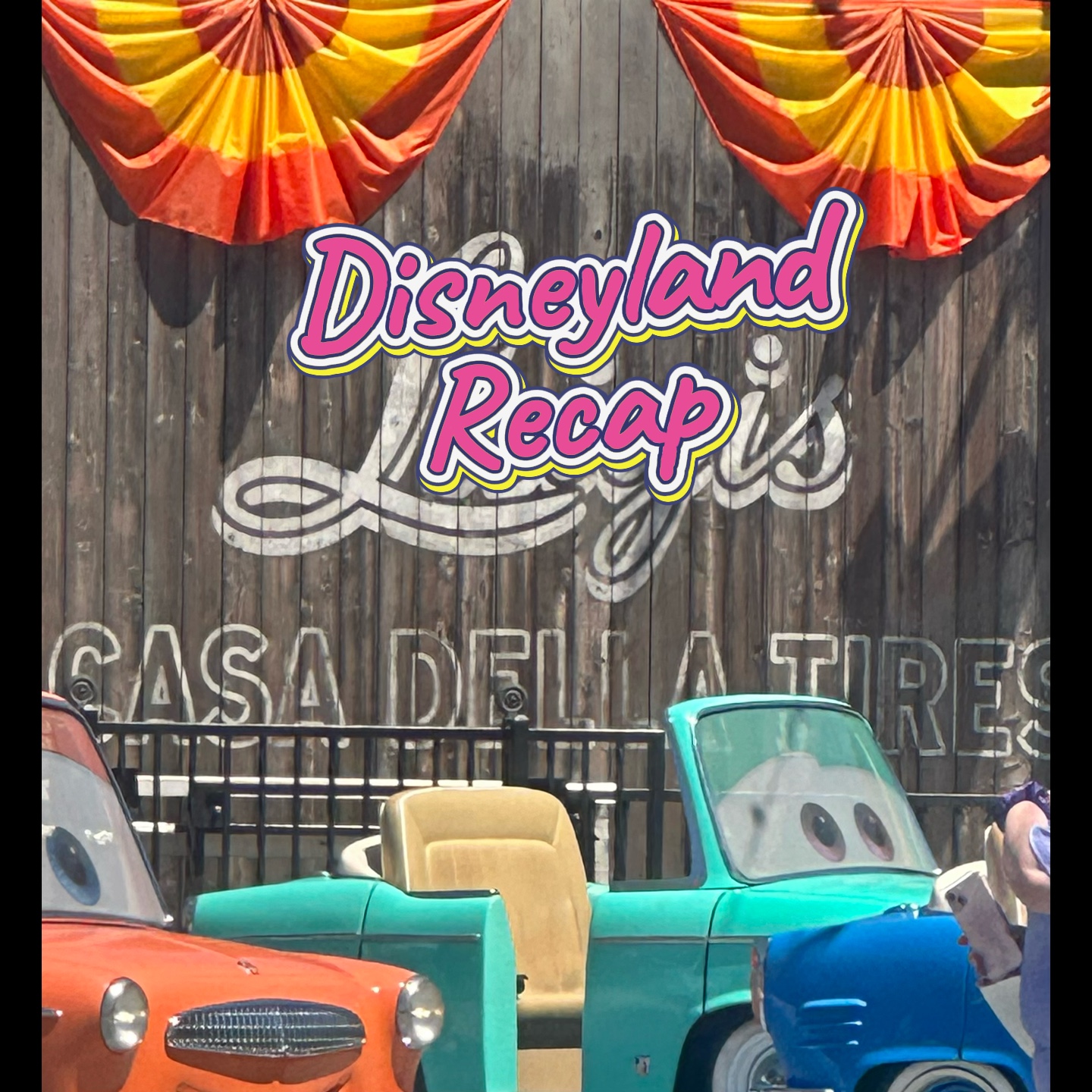 Disneyland Recap 