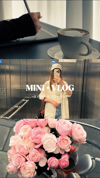MINIVLOG 30 CLIPS 