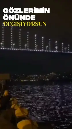 Ücretsiz Şablon