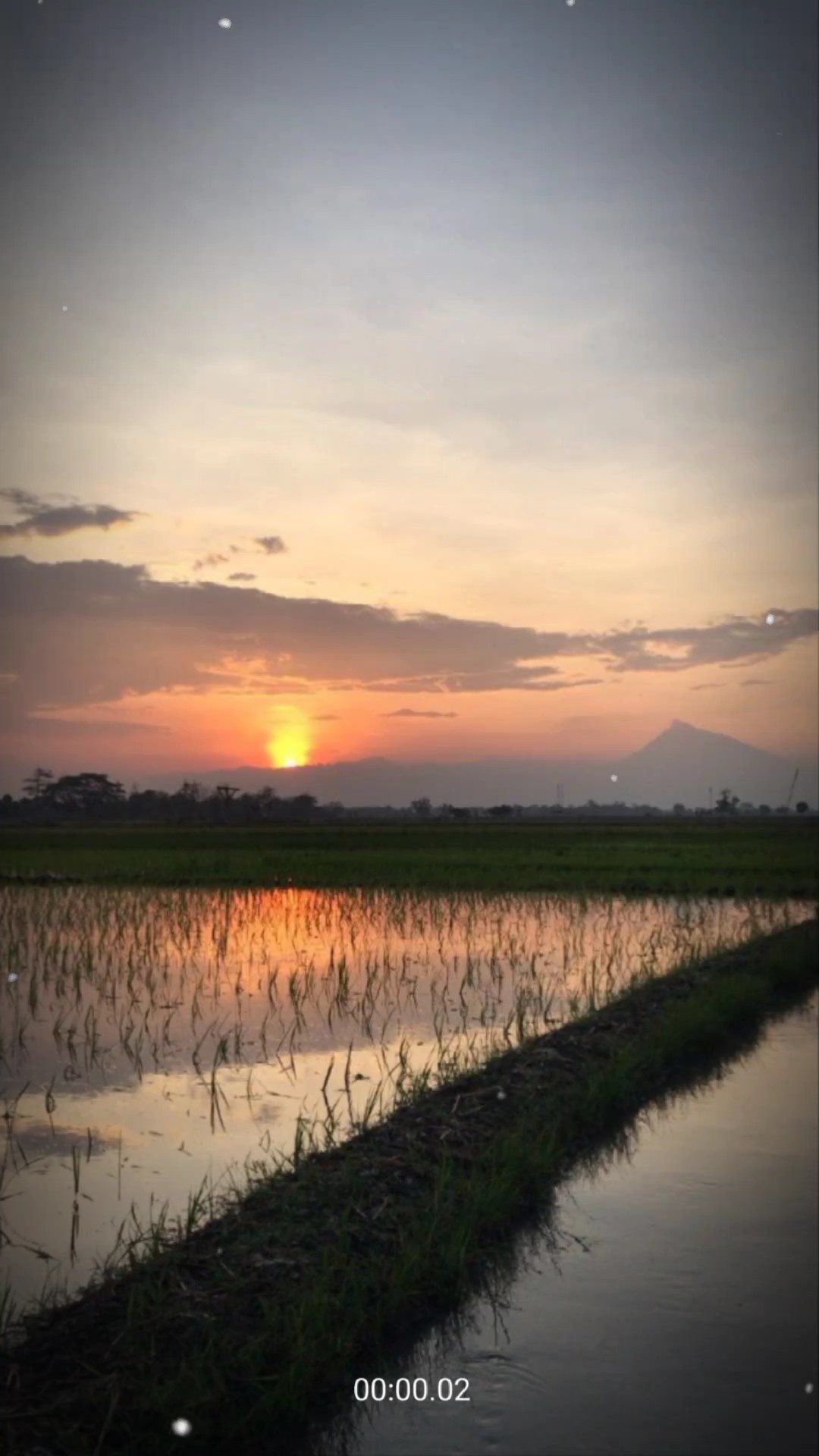 គំនួចវាយោបកផាត់ដួងចៃ