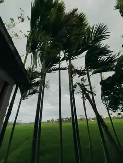 Weather Video 