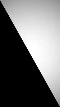 TikTok @Dolphineditz