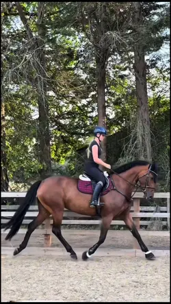 Equestrian glowup