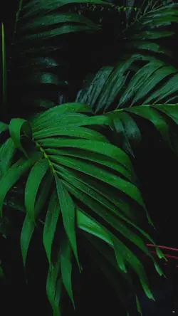 cinematic slowmo