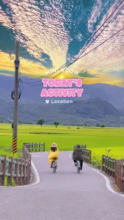 TODAY'S ACTIVITY