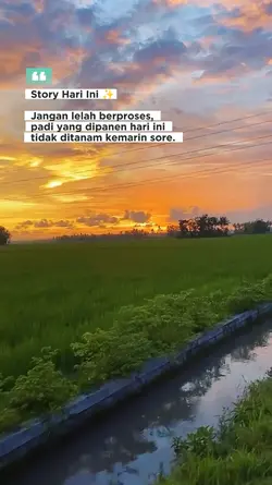 story hari ini