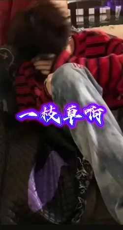 少年英雄
