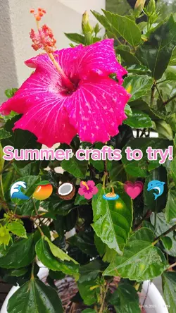 Summer crafts! 