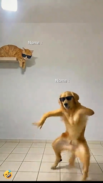 Lustiger Hund