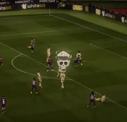 Skull face template