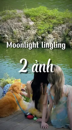 Moonlight lingling 