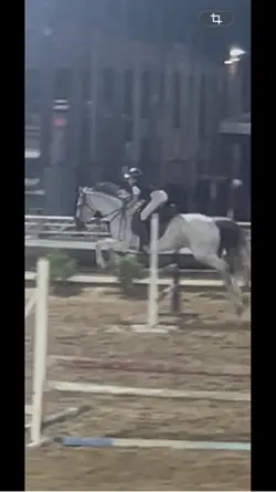HORSES 