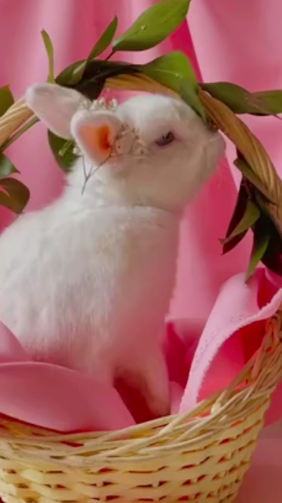 Frohe Ostern 