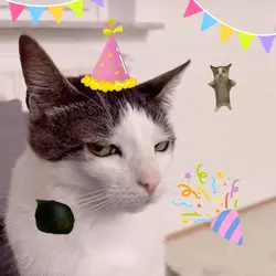 hbd y