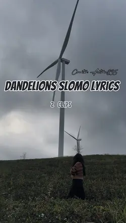 Dandelions slomo lyr