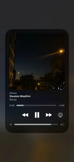 Davetsiz misafirim