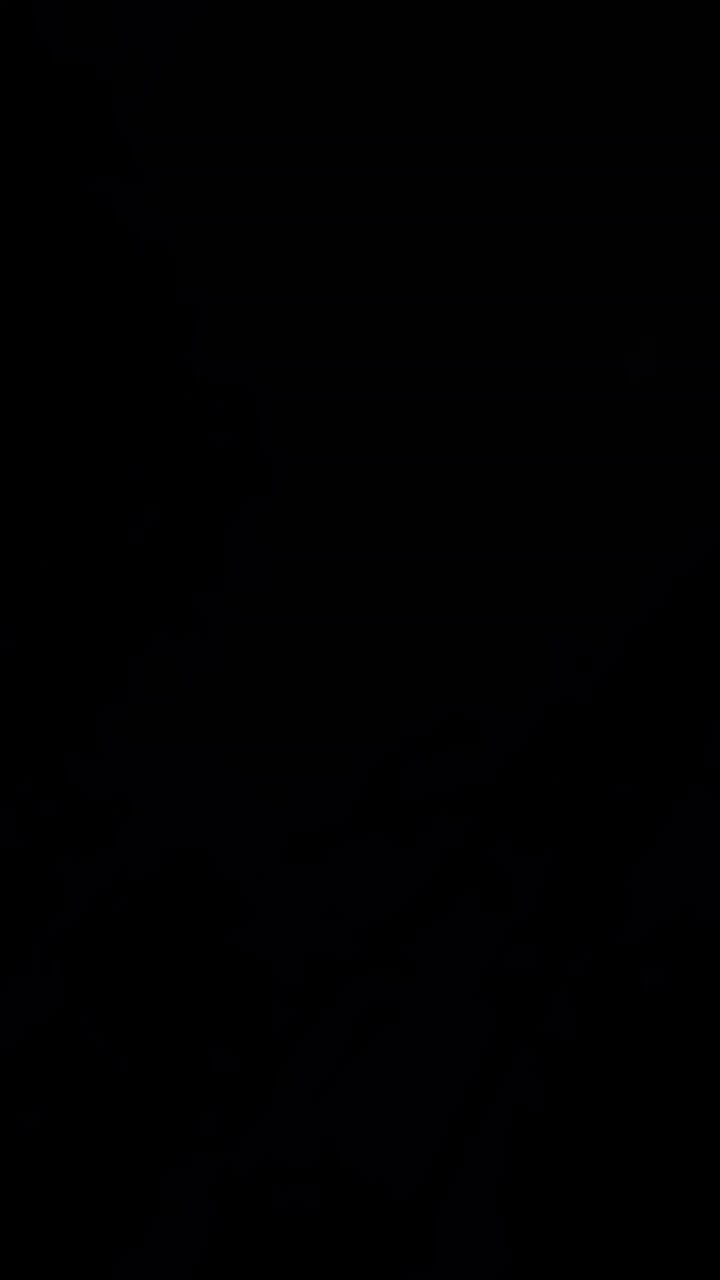 vlog mini 